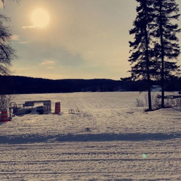 Meet your Posher, Alexia - Picture 1 of 1